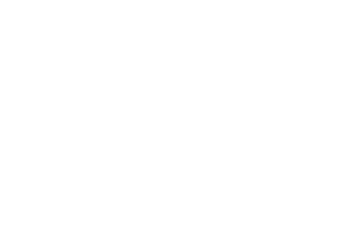 logo AE bianco